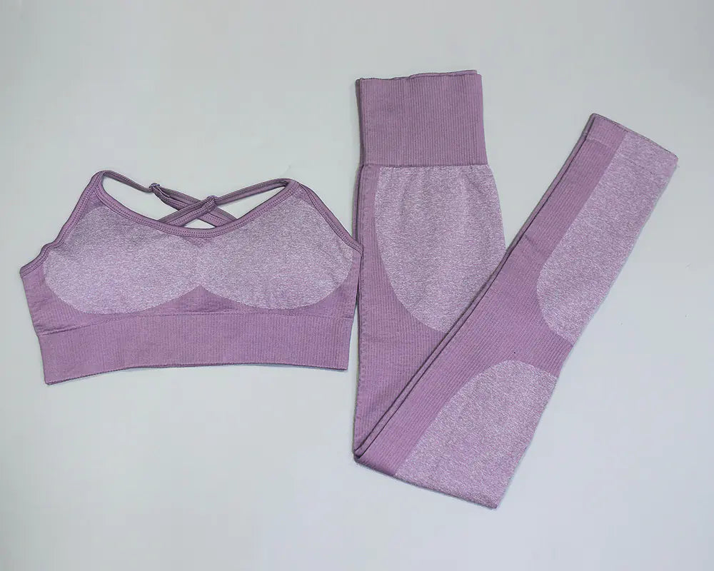 Seamless Quick-Dry Gym and Running Set