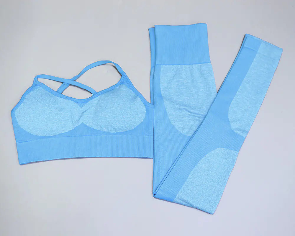 Seamless Quick-Dry Gym and Running Set