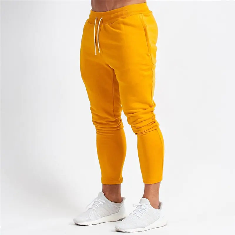 Fitness Track Pants