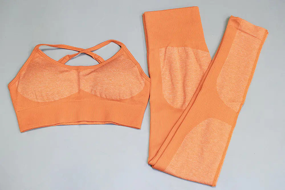 Seamless Quick-Dry Gym and Running Set