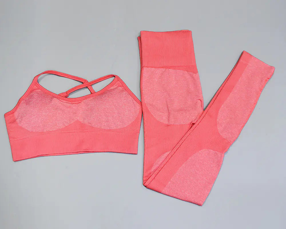 Seamless Quick-Dry Gym and Running Set