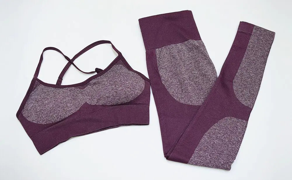 Seamless Quick-Dry Gym and Running Set