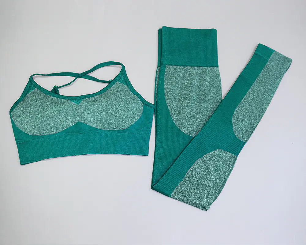 Seamless Quick-Dry Gym and Running Set