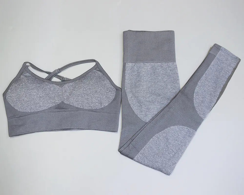 Seamless Quick-Dry Gym and Running Set